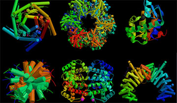 Protein Structural&Function Services