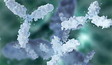 Polyclonal Antibody Production