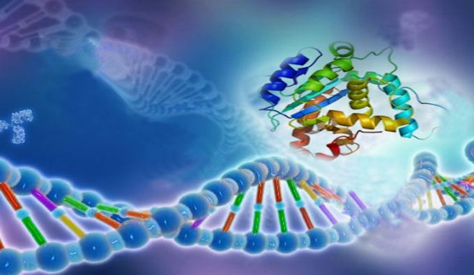 Recombinant Proteins