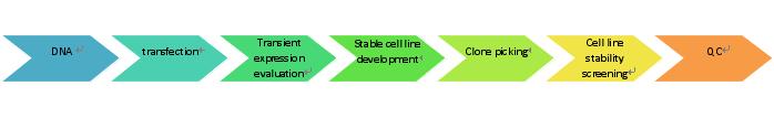 Stable Cell Line Development Services